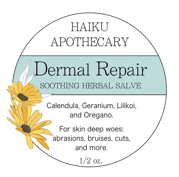 All Things Good: Herbal Salve Set