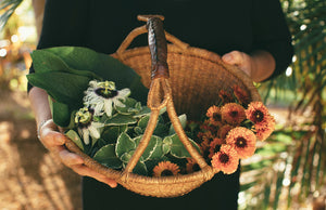 comfrey, lilikoi, oregano and calendula in a gathering basket